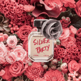 SILVER PARTY