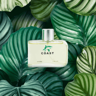 EBC - COAST GREEN